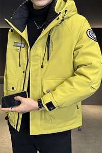 标50白鸭绒工装加厚外套2025新款男装羽绒服C317-Y6803-P215图片