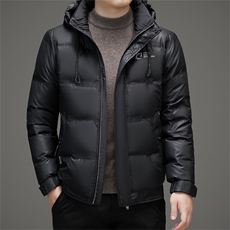 BZS8232钱塘2020-2百搭时尚休闲简约冬季厚款中年男士羽绒服P270，男装羽绒服，钱塘207-2