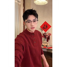 网图76313-P70本命年红色亨利领毛衣男款秋冬季轻熟风针织衫，男装针织衫/毛衣，电商D310B