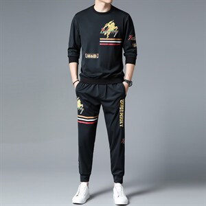 SXL9625秋季2023年新款男士长袖长裤修身休闲时尚卫衣套装P155图片
