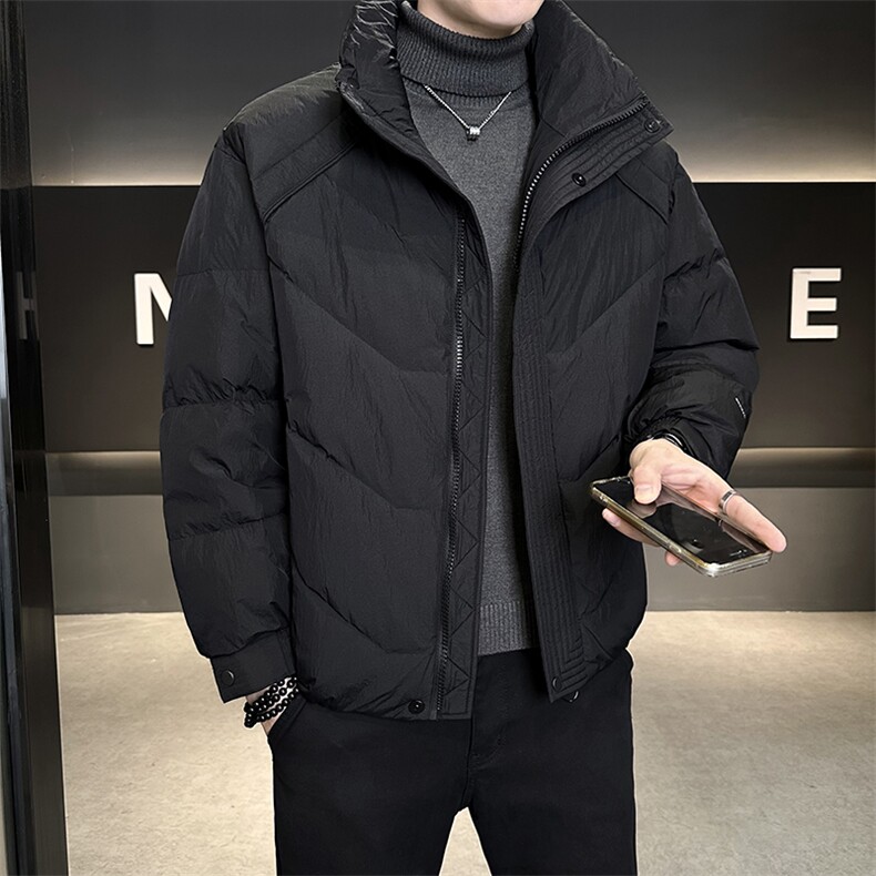 90%标白鸭绒2025冬季立领休闲短款加厚羽绒服外套M8752-P290,男装羽绒服,电商A413