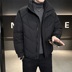90%标白鸭绒2025冬季立领休闲短款加厚羽绒服外套M8752-P290，男装羽绒服，电商A413
