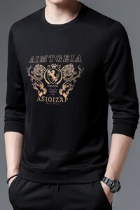 长袖男士圆领卫衣印花体恤2023秋季中年商务休闲时尚打底衫男装图片