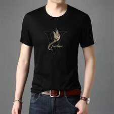 男士短袖t恤夏季男士圆领上衣服半袖体恤潮流休闲男装t桖衫，男装T恤，电商B212（原钱塘6029）