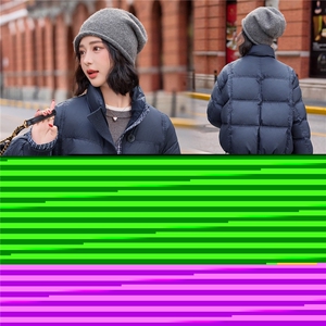 2025年冬季新款时尚格纹拼接立领羽绒服女图片
