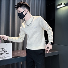 潮流纹理感绣标圆领毛衣男社会小伙店主风301C-M97-P68控98，男装针织衫/毛衣，星座301C（原B323）