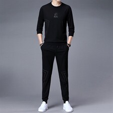 2023新款圆领卫衣秋季男士休闲套装印花运动跑步服潮流搭配男套装，男装休闲套装，电商B212（原钱塘6029）