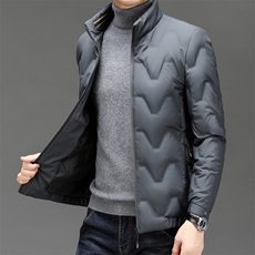 男士短款羽绒服轻薄保暖上衣2025年冬季休闲立领羽绒衣外套男，男装羽绒服，钱塘6003（原4033）