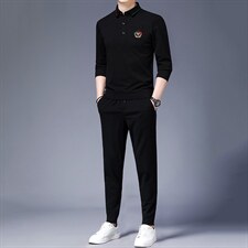 2023春秋季新款男士休闲套装翻领套头刺绣T恤中青年男装两件套，男装休闲套装，电商B212（原钱塘6029）