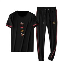 D215/T28146欧洲站新款夏装丝光潮流男士短袖T恤休闲运动套装，男装套装，电商D320(原D215)