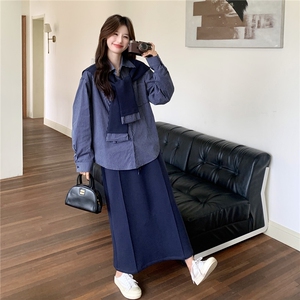 现货:秋装新款休闲条纹衬衫 半身裙三件套装裙2C135-8888P185K258图片