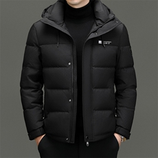 DF8038钱塘2020-2时尚休闲冬季厚款连帽中年男士羽绒服P263，男装羽绒服，钱塘207-2