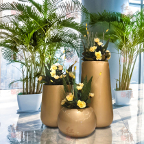Hongya FRP shopping mall flower pot combination restaurant office building sales office waiting hall flower outdoor decoration Flower Bowl