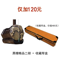 Evanic Boutique Erhu+Collection Piano Box