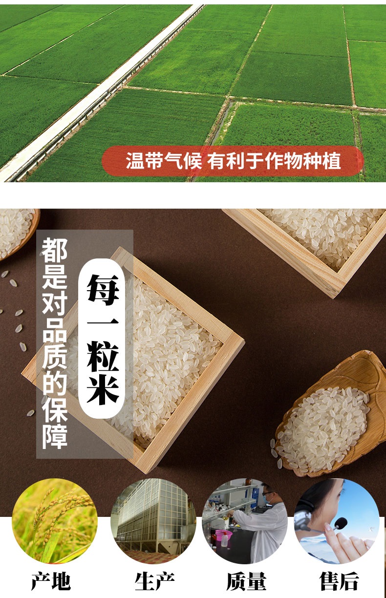 东北大米 都利稻花米长粒香米10斤 图3