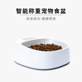 Домашние животные называются тяжелыми кормами для собак, собачьи, собачья миска для кошачья миска для собак собака горшок кошка вода для мыть