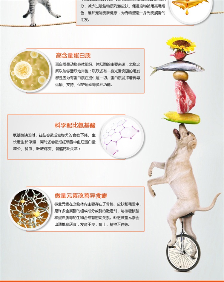 Pet kem dinh dưỡng chó đỏ kem dinh dưỡng thú cưng Teddy chó con mèo con mèo dinh dưỡng kem mèo dinh dưỡng kem vỗ béo - Cat / Dog Health bổ sung sữa mèo sơ sinh