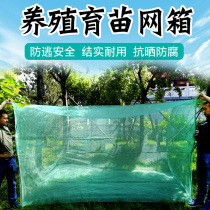 The net-box farming net's special fish-growing net box is customized as a small lobster anti-escape net box with loach yellow eel eel