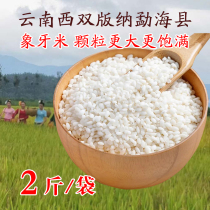 Yunnan Menghai high altitude ivory rice sticky rice Soft fragrant rice particles larger and fuller Dai rice 2 kg bags