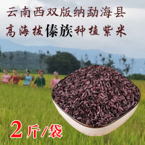 Menghai high altitude purple rice Yunnan Xishuangbanna purple glutinous rice rice ball special rice black glutinous rice 2 pounds of whole grains