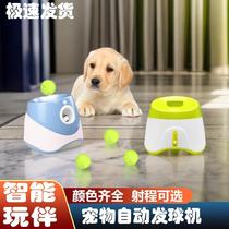 Pet dog automatic ball server pitching machine pitching ball thrower puppy ball server electric ball throwing machine toy