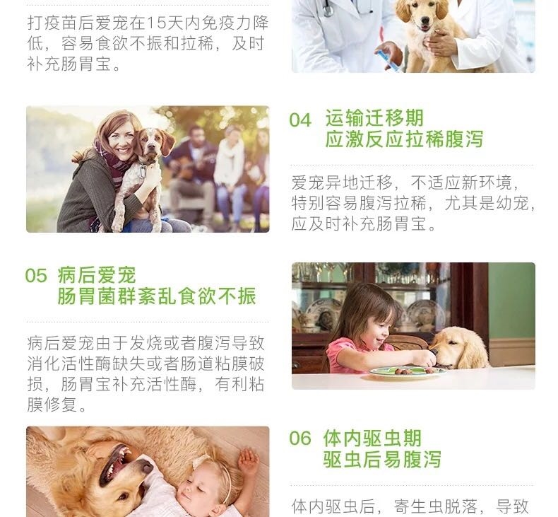 Thú cưng nhỏ điều hòa dạ dày thú cưng chó mèo Teddy Alaska quản trị kéo nôn nôn men vi sinh - Cat / Dog Medical Supplies 	bộ kim tiêm thú y