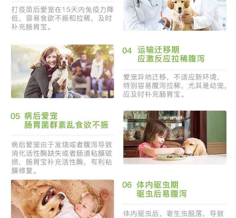 Thú cưng nhỏ điều hòa dạ dày thú cưng chó mèo Teddy Alaska quản trị kéo nôn nôn men vi sinh - Cat / Dog Medical Supplies