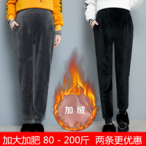 Pregnant woman pants winter dress with underpants to increase overweight and overweight movement Harun pants gush thickened outside wearing warm pants 200 catty