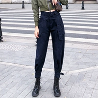 Синий ростомер, осенний, 162см