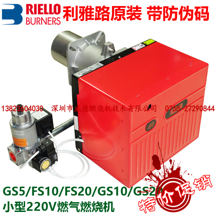 Italy Liya Road RIELLO GAS LIQUEFIED COMBUSTION ENGINE FS10 FS10 FS20 GS5 GS10 GS20