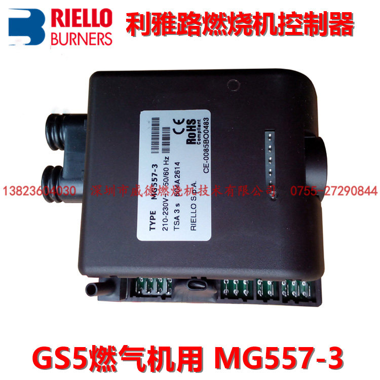 MG557-3 Italy Liya Road GS5 Gas combustion engine with accessories controller Original brand new