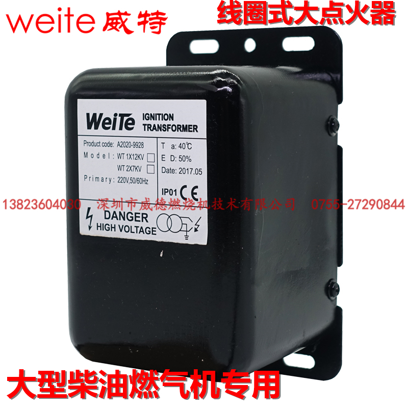 Combustion engine igniters A2020-9928 large diesel gas high-pressure pack coil type 1*12KV 2 * 7KV