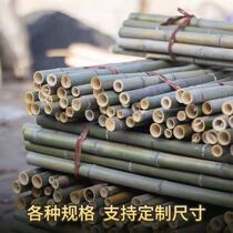 Bamboo Stem Guardrails Bamboo Fence Bamboo Fence Hitch Yard Wall Partition Countryside Folk Garden Fresh Rural Bracket Renovated Outdoor