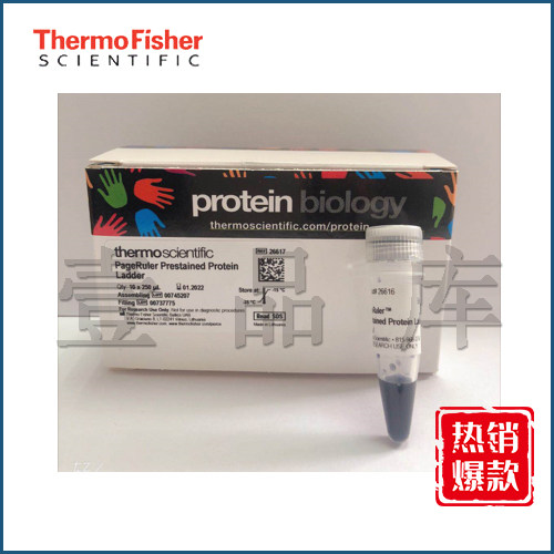 Thermo pre-stained protein Marker10-180KD 26616 250ul branch 26617 250ul*10