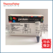Thermo Prestained Protein Marker10-180kd 26616 250ul of contingent of 26617 250ul * 10
