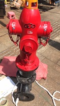 Sky Wide Outdoor Fire Hydrant Ground Type Fire Hydrant Fire Hydrant Quick Open Pressure on the ground bolt SS100 65 