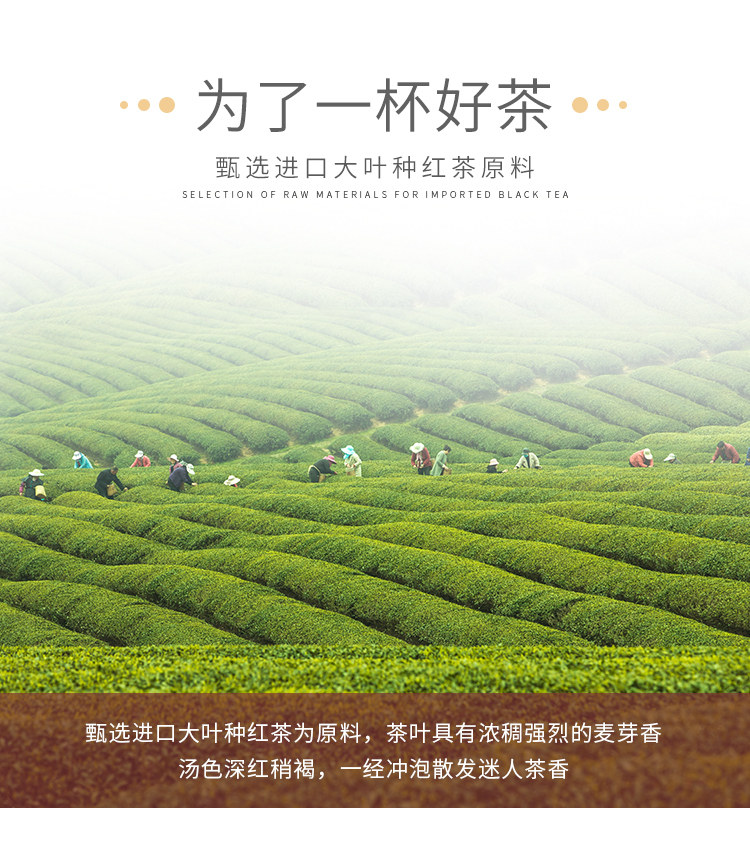 Guangxi Taiwan Style CTC Black Tea_02.jpg
