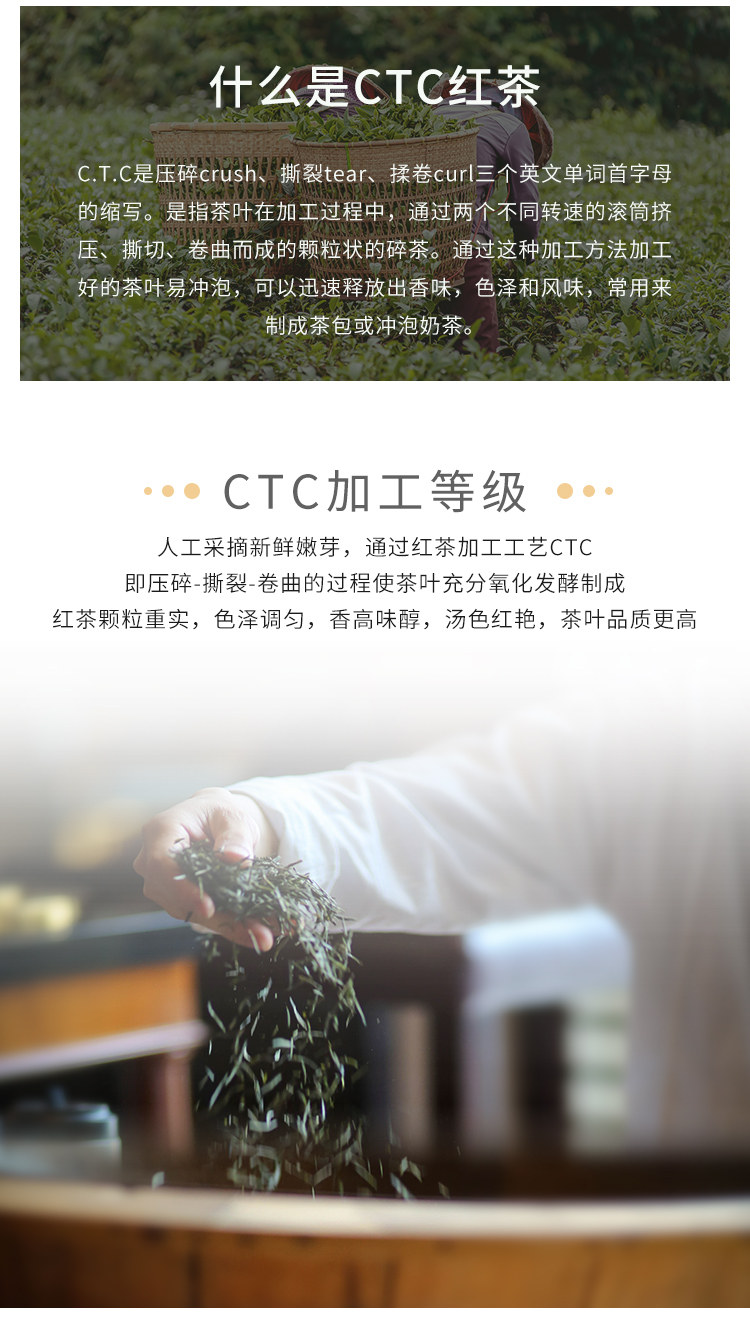 Guangxi Taiwan Style CTC Black Tea_03.jpg