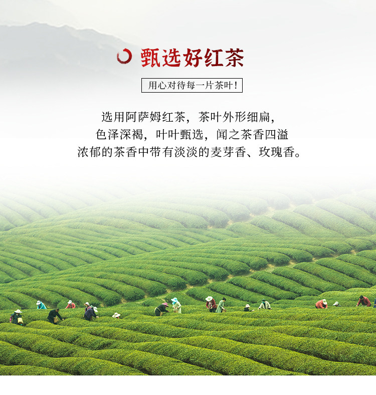 Guangcun Assam Black Tea_02.jpg