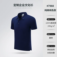 7988 Тибетский Цин