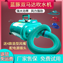 Blue Dolphin double Mada blower pet blowing machine silent high power large dog pet dog shop blow dry hair artifact