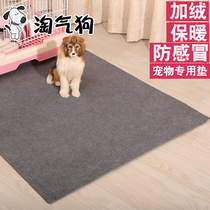 Thickened Dog Mat Autumn Winter Thick Dog Mat Cat Mat Sleeping Winter Warm Groggy Dog Mat Dog Cushion Pet Mat Rug