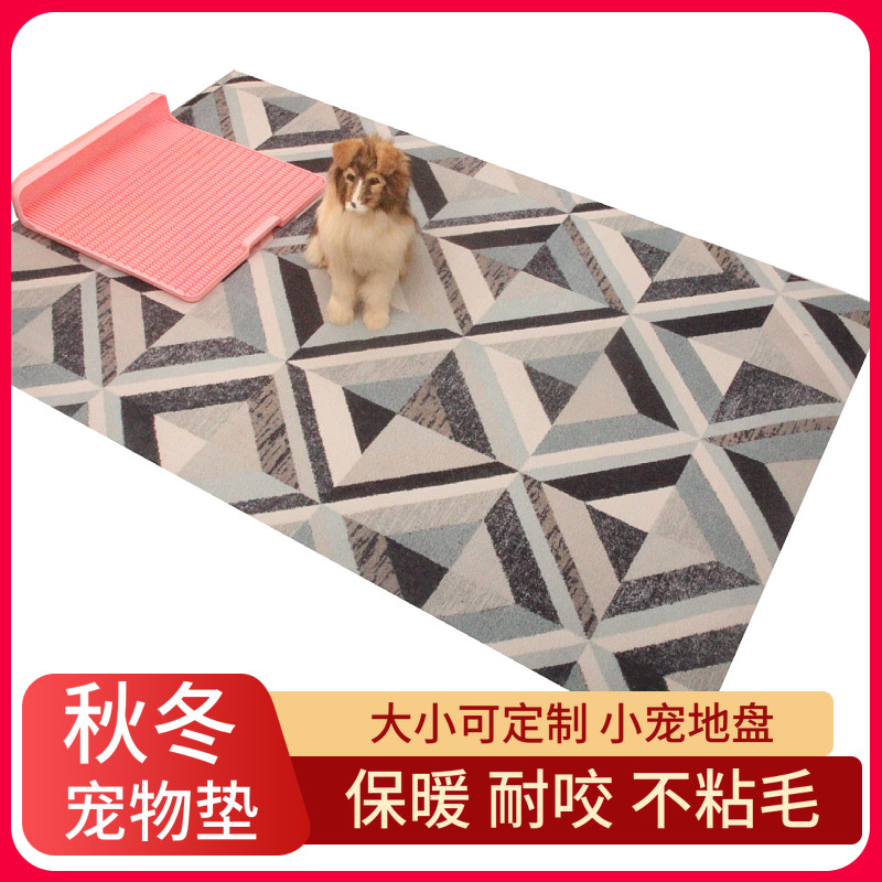 Cat mat dog mat sleeping with autumn and winter style bite-resistant winter warm non-stick hair four seasons universal removable and washable thickening