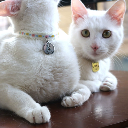 Летний колокольчик, ожерелье, чокер, кот, домашний питомец