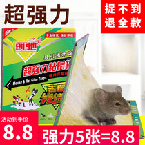 5 Dress Rat Stick Super Power Stick Mouse plate Mouse glue clamp Drug cage Stained Plate Mouse Trap Mouse Trap Mousetrap Mouse Killer
