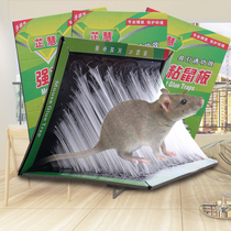 5 powerful sticky rat board mice with mousetrap to drive the rat to kill the rat and catch the mouse gel drug home