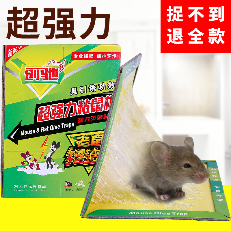 20 sheets of super-powerful mouse stickers sticking mouse board rodent exterminator mouse glue medicine electric cat mouse trapping cage clip household