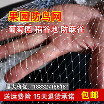 Orchard bird-proof net Grape greenhouse protection net Household fruit tree net Bird-proof net Fish pond breeding nylon net Outdoor