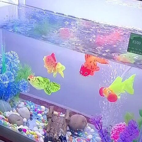 小野的海街