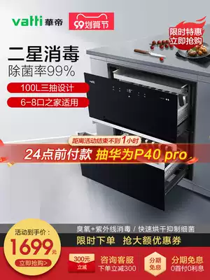 Vantage i13025 disinfection cabinet household ultraviolet ozone large capacity two-star embedded kitchen disinfection bowl cabinet